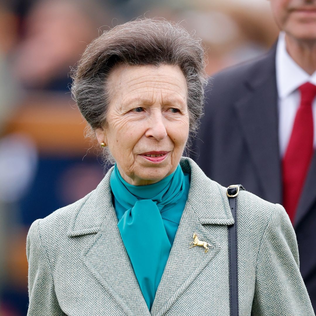 Princess Anne looks so much like unexpected royal family member