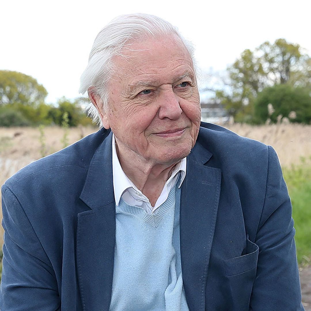 Sir David Attenborough