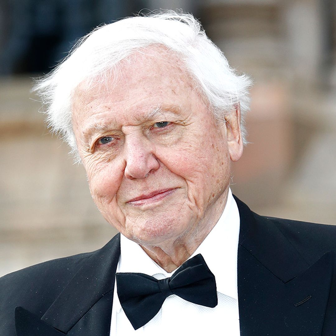 David Attenborough