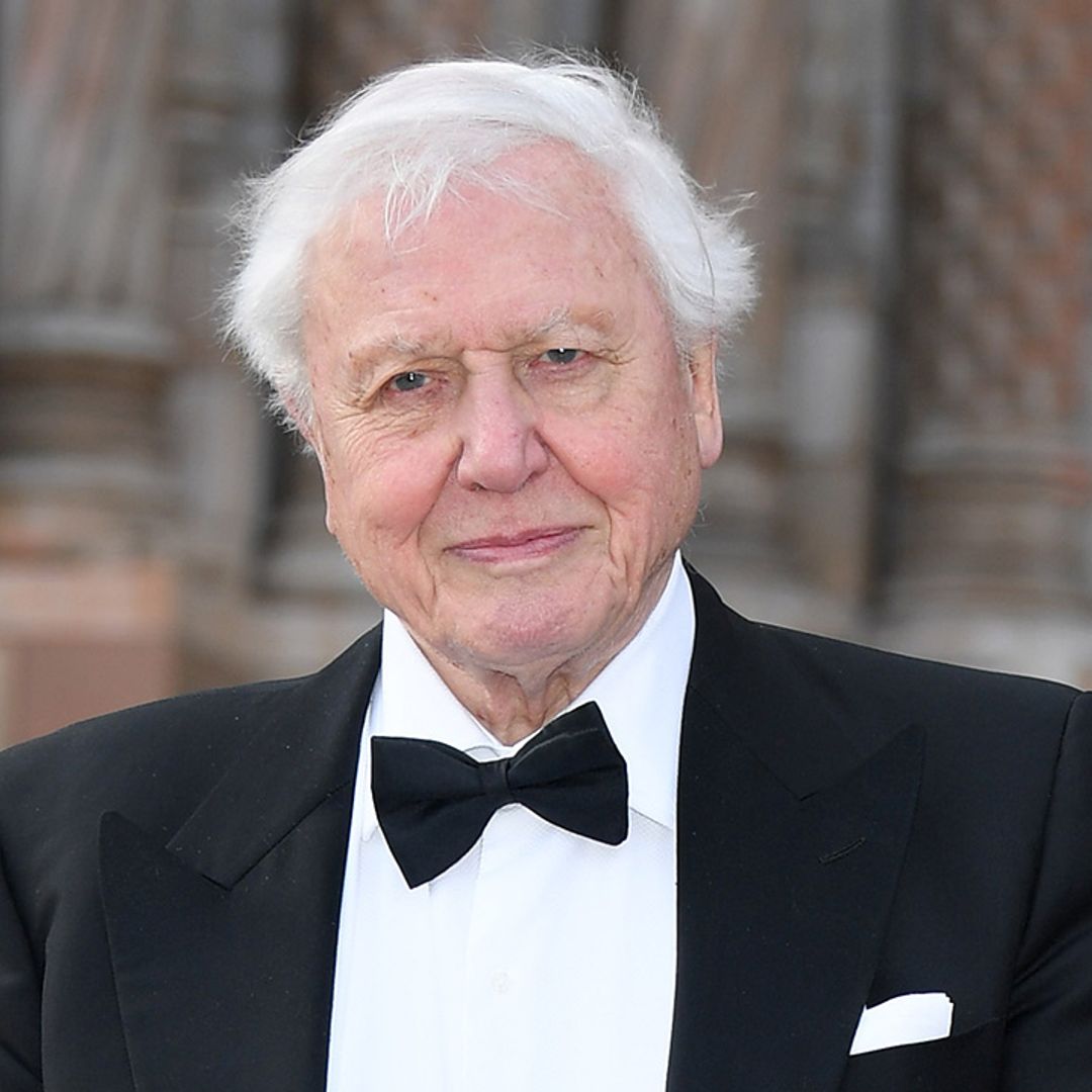 David Attenborough reveals his favourite animal – and it's very surprising