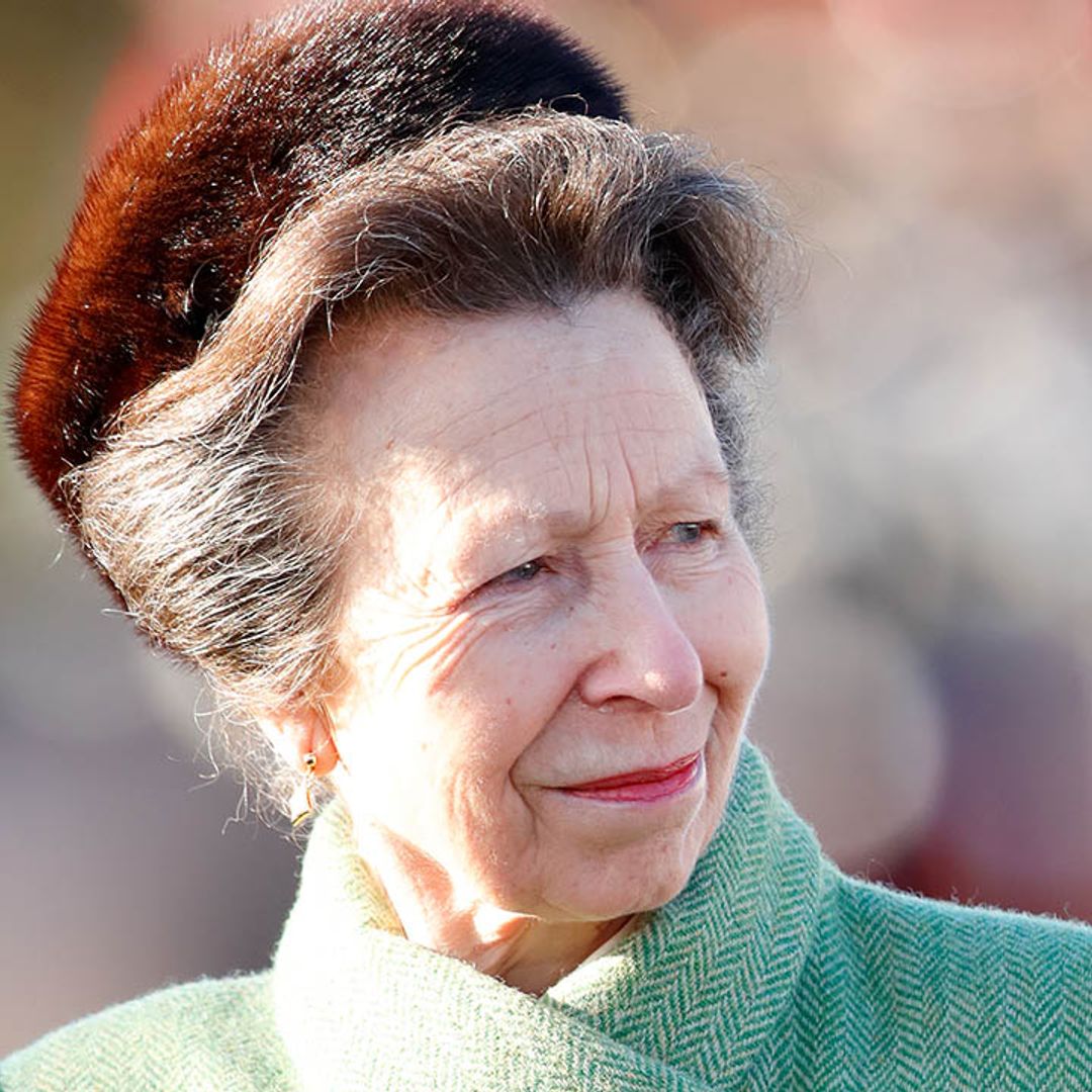 Who are Princess Anne's husband, children and grandchildren?