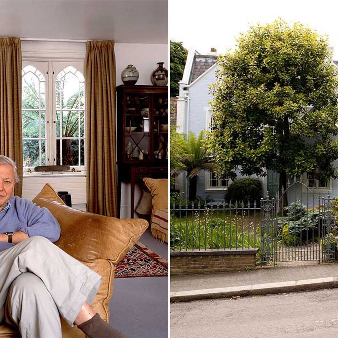 David Attenborough's beautiful London home revealed