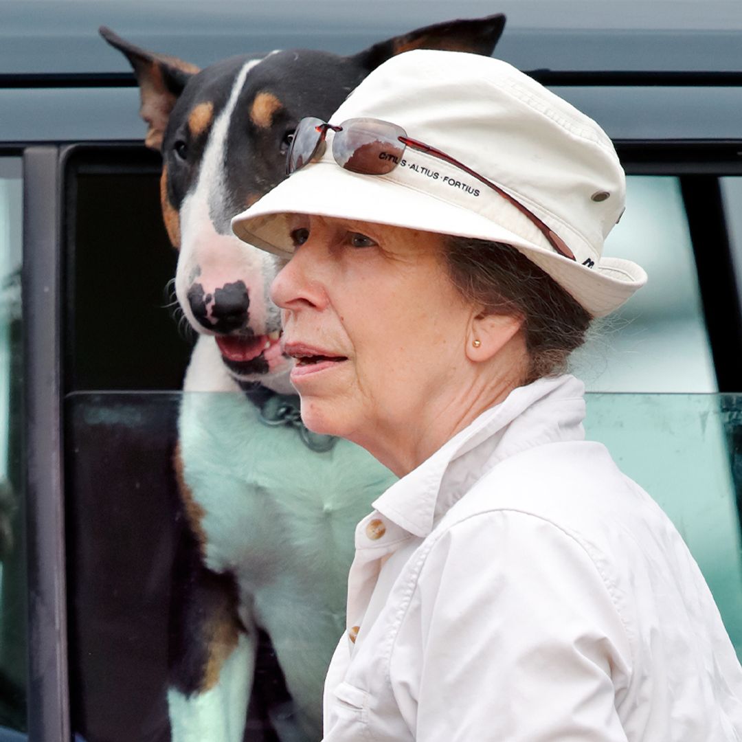 Princess Anne's unruly dogs who almost got her arrested: All the times her terriers caused chaos