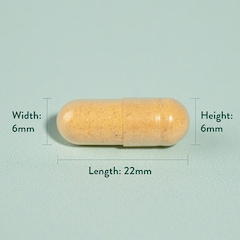 Turmeric 500mg 240 Capsules