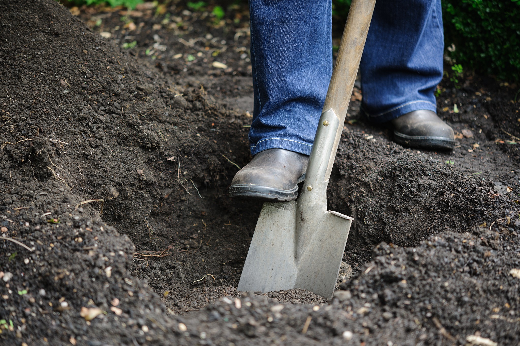 Dig your planting hole