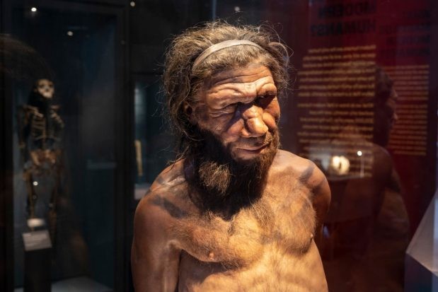 When and why did Neanderthals go extinct? Explaining the loss of ...