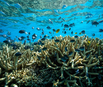 SOUTHERN GREAT BARRIER REEF