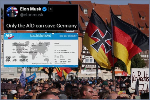 Far-Right German Party Endorsed by Elon Musk, Accused of Distributing 'Deportation Plane Tickets' to Immigrants