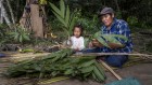 No basis for claim that 80% of biodiversity is found in Indigenous territories