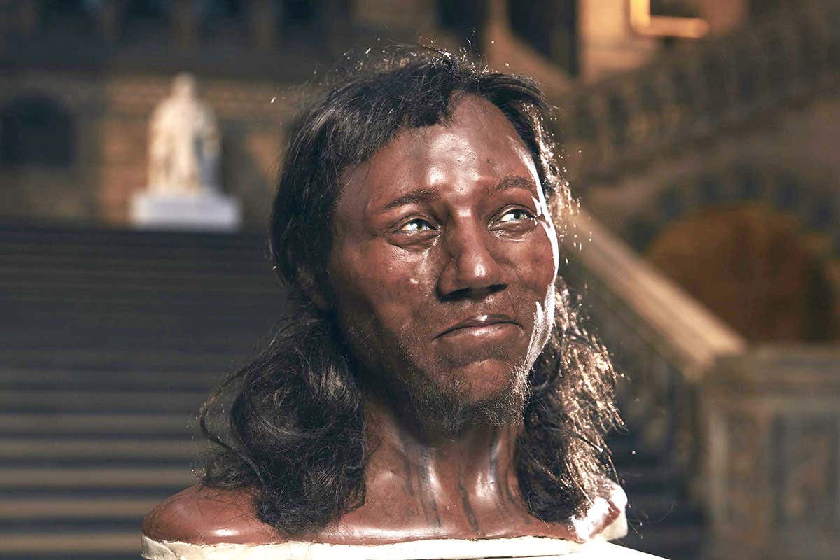 Reconstruction of Cheddar Man's head and shoulders