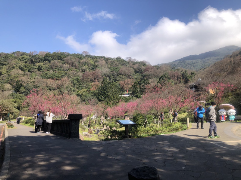 外傳內政部要推動在國家公園屋頂實施種電，引發環團與立委隱憂。今（9）日內政部澄清，將於國家公園各管理處的辦公室、遊客中心或相關廳舍的屋頂、停車場導入再生能源。並非要在國家公園內大規模「種電」。   （圖為陽明山國家公園）