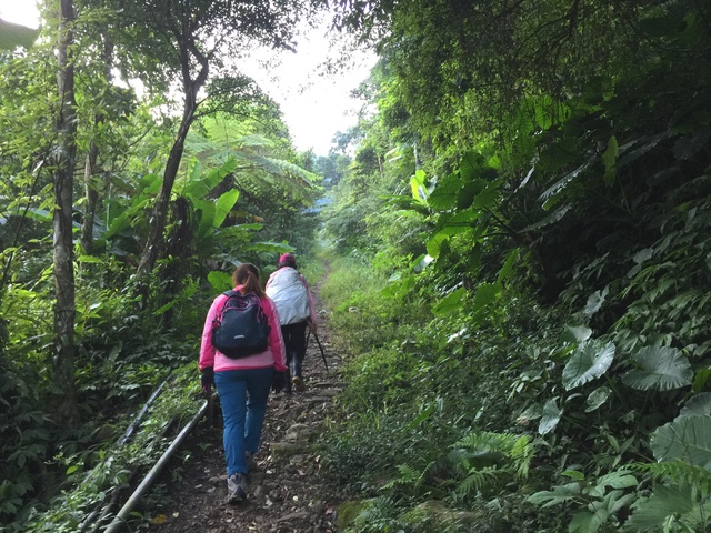 香防局提醒民眾，在登山活動進行前應準備充足的糧食、飲水。   圖：三峽區公所提供（示意圖）