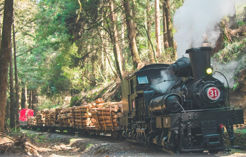 嘉義最近頻繁發生地震，可能導致山區邊坡地質不穩，今(14)日早晨，一棵大樹倒塌阻斷了小火車的路線。   圖：翻攝自阿里山林業鐵路及文化資產管理處