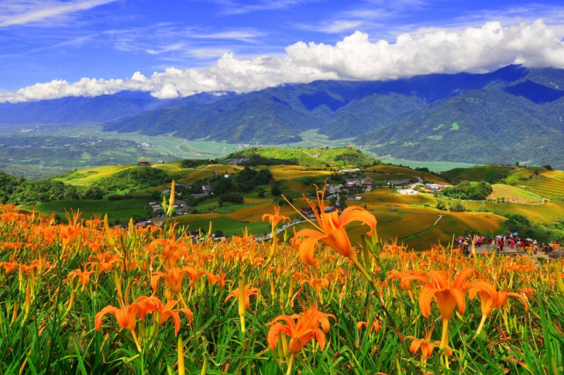 花蓮地震後，當地觀光產業受到重創，今年端午連假訂房率僅1成，暑假訂房率僅2成多。   圖：翻攝自花蓮縣政府臉書專頁