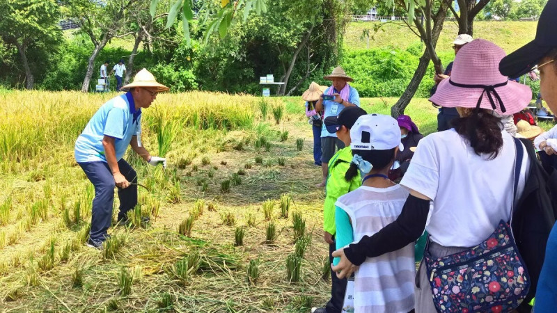 大家認真聽講學習割稻技巧。   圖：新北市高灘處/提供