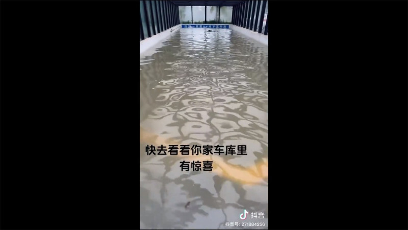山東省臨沂市遭受豪雨襲擊，地下停車場直接被洪水灌滿。   圖：擷取自 @wuwenhang X 分享影片