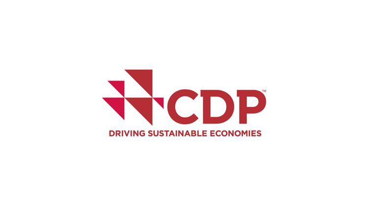 Logotipo de CDP Worldwide