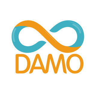 大摩 DAMO