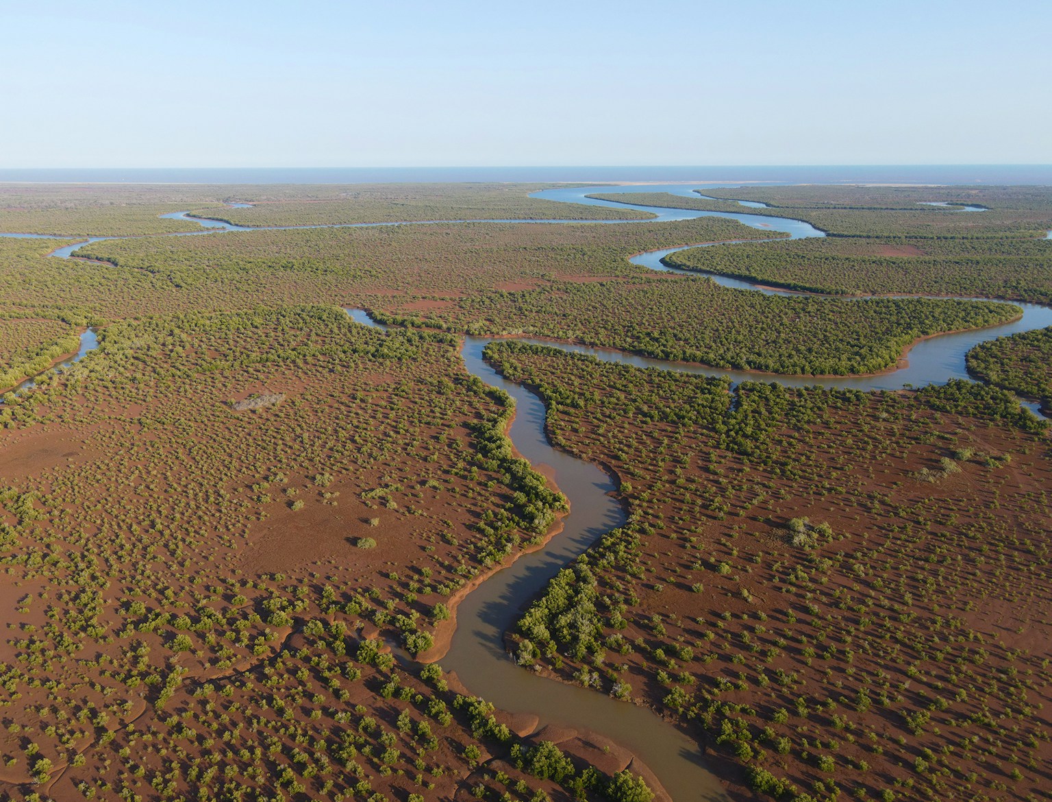 Melaki's Mangroves