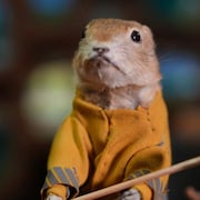 Un spermophile empaillé porte l'habit d'un pompier forestier au musée Gopher Hole Museum, à Torrington, en Alberta, en décembre 2024.