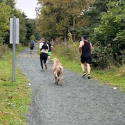 Le bouc galope parmi les coureurs sur un chemin de gravier.