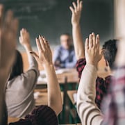 Des élèves photographiés de dos dans une classe lèvent la main