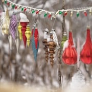 Des décorations de Noël accrochées dans des arbres, à l'extérieur. 