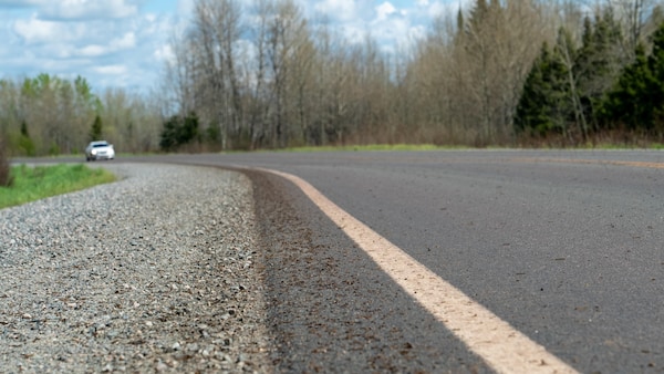 Sur une route, les chenilles sont bien visibles, au loin une voiture qui circule. 