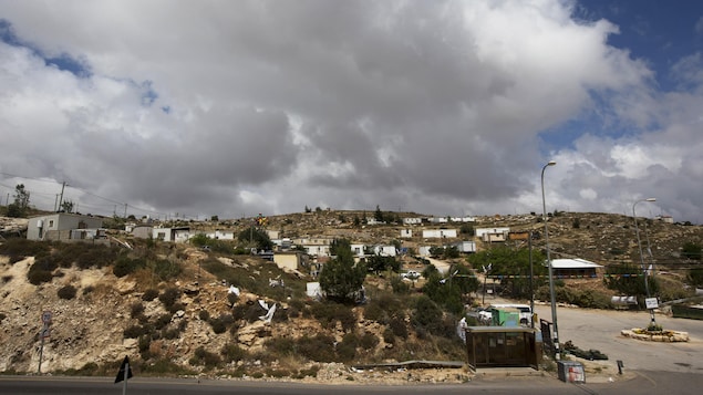 مستوطنة جفعات آساف العشوائية في الضفة الغربية المحتلة من قبل إسرائيل.