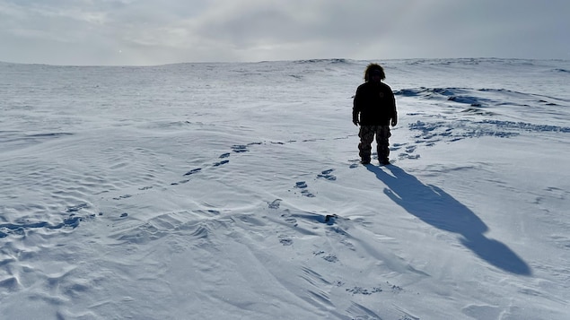 In Taloyoak, Nunavut, the northernmost hamlet on mainland Canada, Inuit are working to conserve their territory and set up a community-driven, land-based economy.