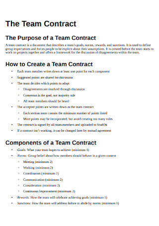 Formal Team Contract