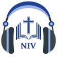 NIV Bible Audio - Holy Version