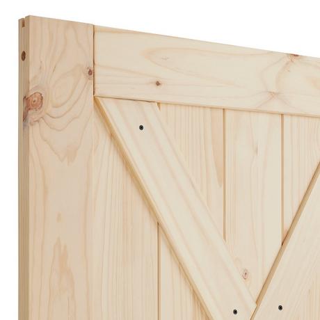 Praxiss Barn Door