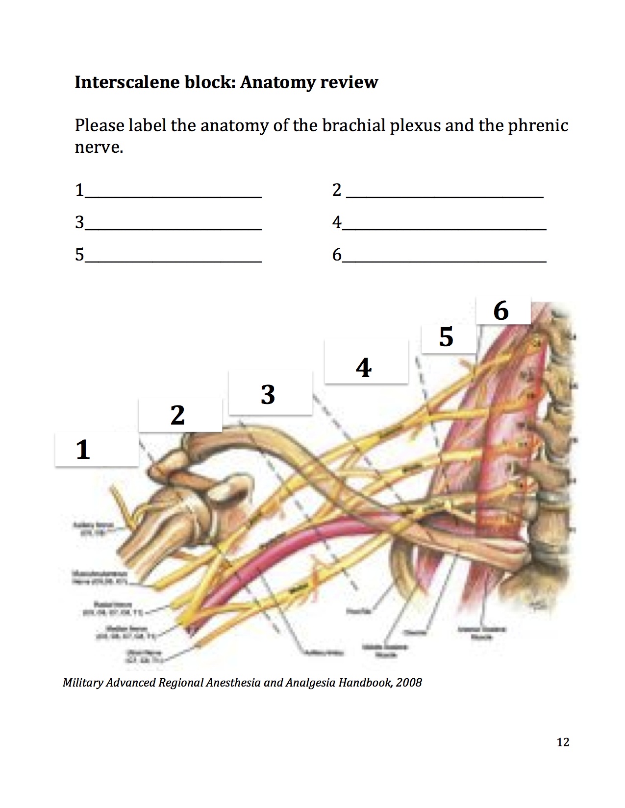 12_Insterscalene.workbook.jpg