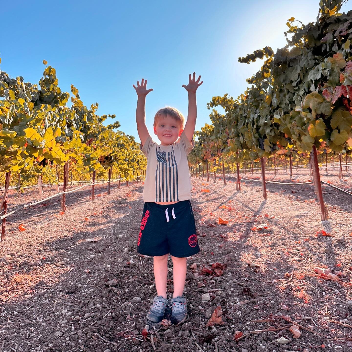 El Pomar district Tannat is just about ready to pick! A little Daddy and son sampling was a success.
Grapes are about to come in fast!
@pasowine #Pasoharvest