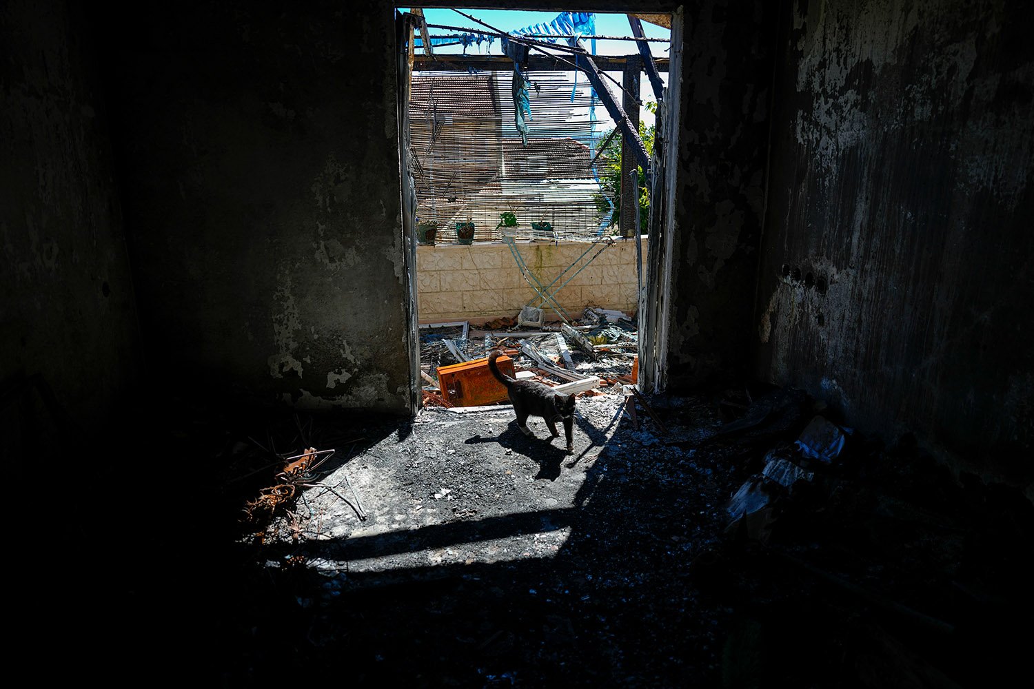 Israel Lebanon Northern Evacuees