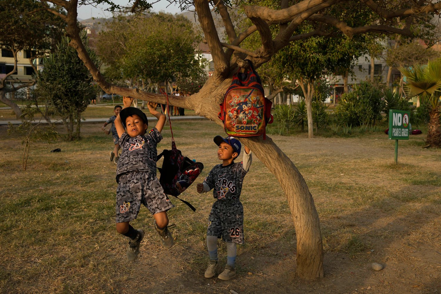  Young Venezuelan migrants Angel, left, and Gael play in a tree after baseball practice in a public park in Comas on the outskirts of Lima, Peru, May 9, 2024. Immigrants, mainly Venezuelans, have opened five baseball academies in Peru's capital. (AP 