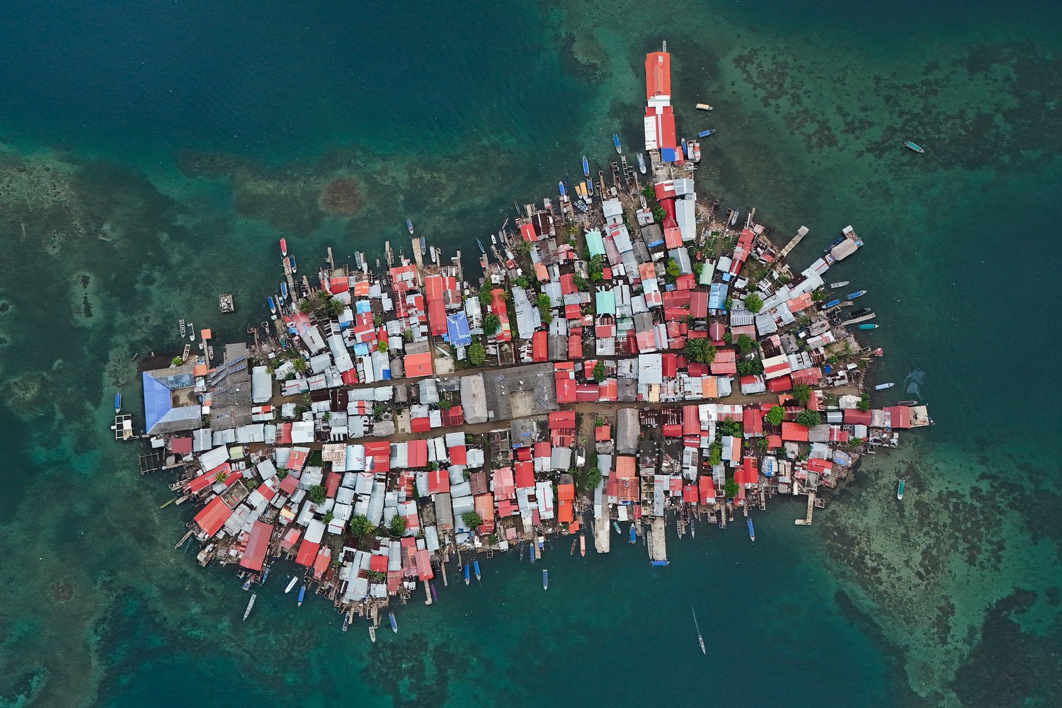  Buildings cover Gardi Sugdub Island that is part of the San Blas archipelago off Panama's Caribbean coast, May 25, 2024. Due to rising sea levels, about 300 Guna Indigenous families will relocate to the mainland in new, government-built homes. (AP P