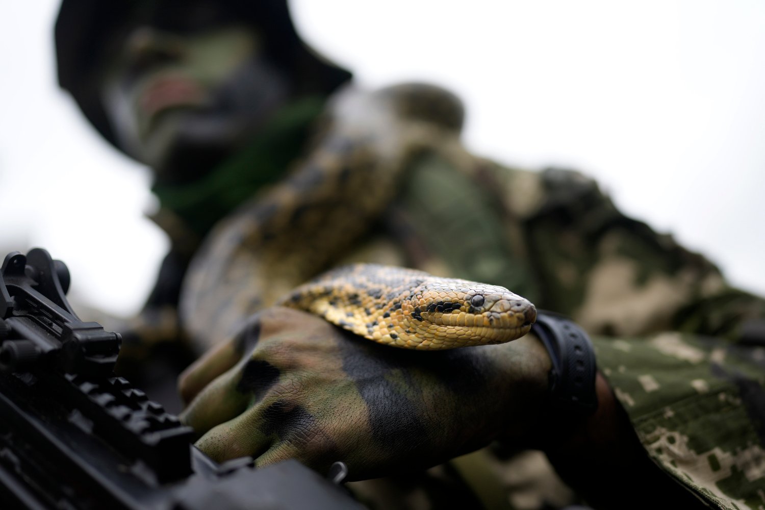  A paratrooper carries a snake before marching in the Independence Day parade in Asuncion, Paraguay, May 14, 2024. (AP Photo/Jorge Saenz) 