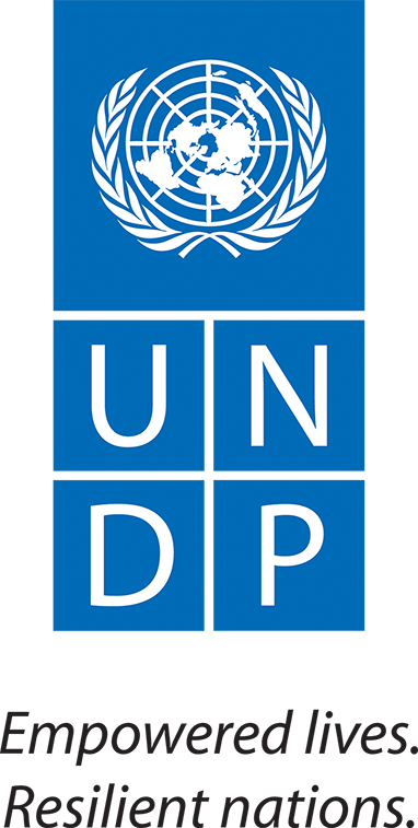 logo-undp-382x757.png