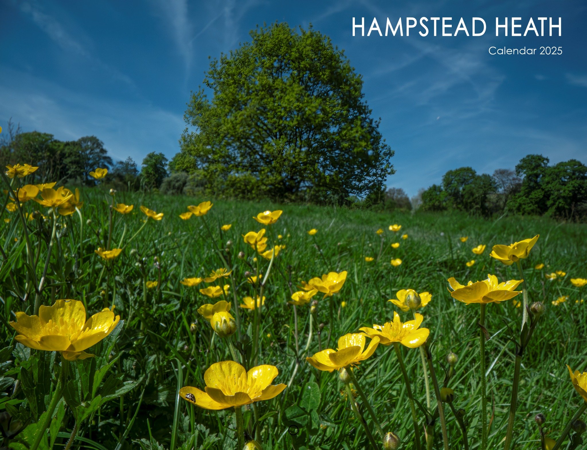 The 2025 Hampstead Heath calendar is here! Featuring stunning shots of the Heath taken by photographer Matt Maran, as well as this year's calendar competition winner.

A perfect Christmas gift for nature lovers and fans of Hampstead Heath. 

Order on