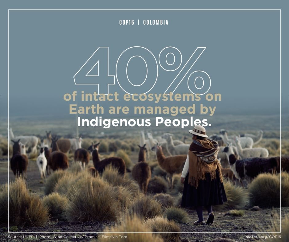 At COP15 world leaders adopted the Global Biodiversity Framework&mdash;which recognizes Indigenous People's vital role and protecting the planet&rsquo;s biodiversity. 🌱 Now, as they gather at #Cop16 in Colombia, It is important that Indigenous Peopl