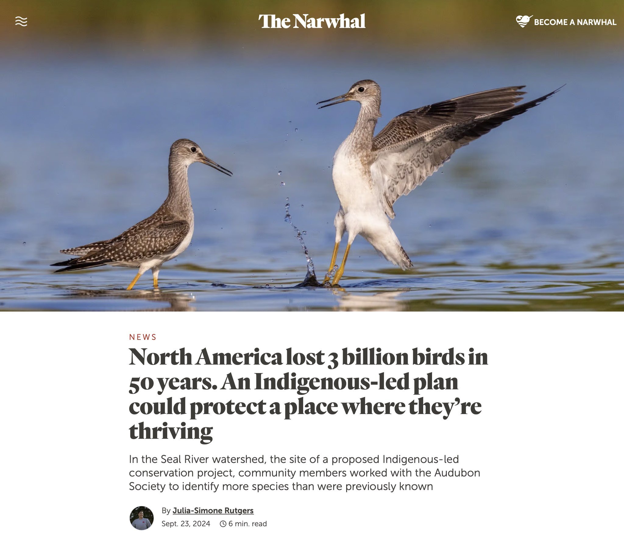 ICYMI: North America has lost 3 billion birds in the last 50 years, but the Seal River Watershed is a beacon of hope. A recent study led by @seal.riverwatershedinitiative and the @audubonsociety catalogued over 100 bird species thriving in the propos