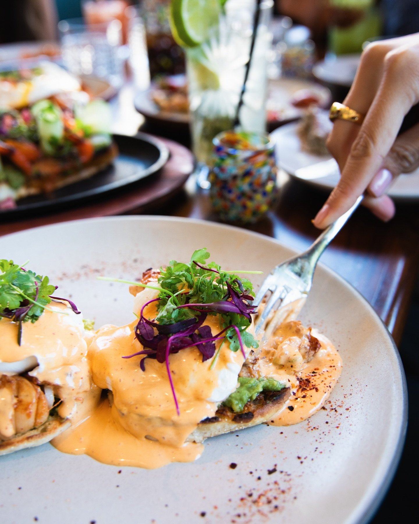 Lobster Benedict, anyone? Sunday Brunch begins tomorrow! 

Join us for an exciting prix fixe menu featuring Asada &amp; Eggs, an Al Pastor Omelet, Churro French Toast and more. Did we mention our Bloody Maria, and frozen Cabo Cooler cocktails? Plus, 