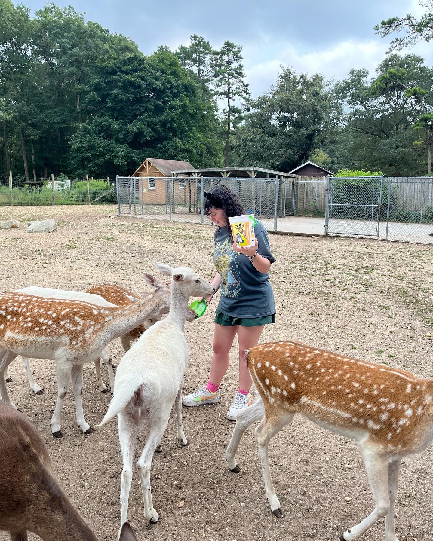 Today is a beautiful day to visit our park! 🦌✨ Encounter, hand feed, and pet some incredible animal species! 

Our park is open daily from 10am - 5pm! ⏰

Thank you for supporting the Long Island Game Farm! 👏

 📞Phone 📞
631-878-6644

🔗 Website 🔗