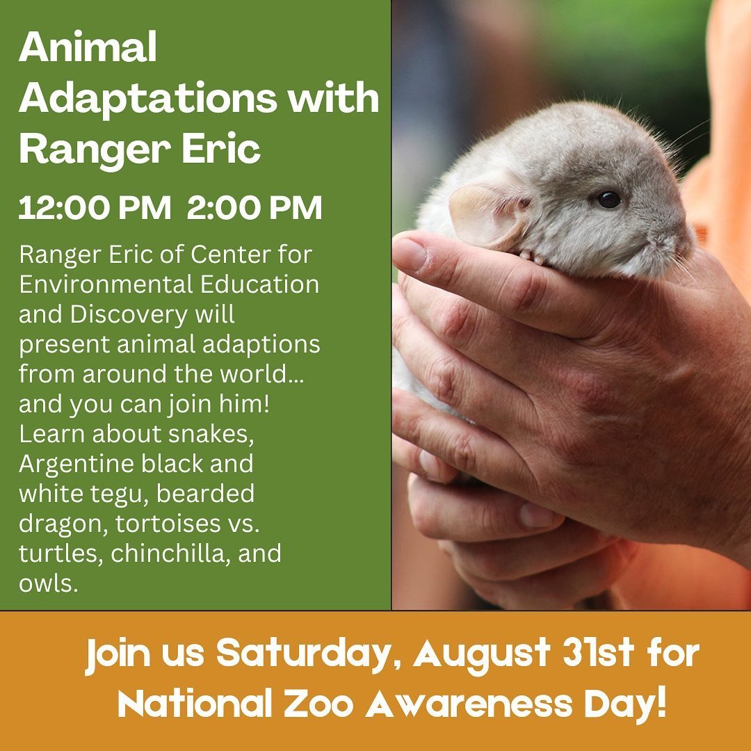 Join us on Saturday, August 31st for National Zoo Awareness Day! 🦚 Together we can celebrate all that Zoos provide; entertainment, sanctuary for wildlife, education opportunities, and fuel for change! 👏 

On our Main Stage from 12:00pm - 2:00pm, Ra