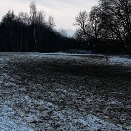 Reifenspuren in einem beschädigten Acker.