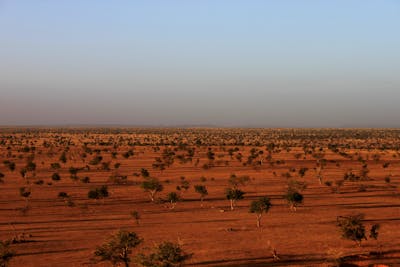 Sahel Acacia Savannas (AT23)