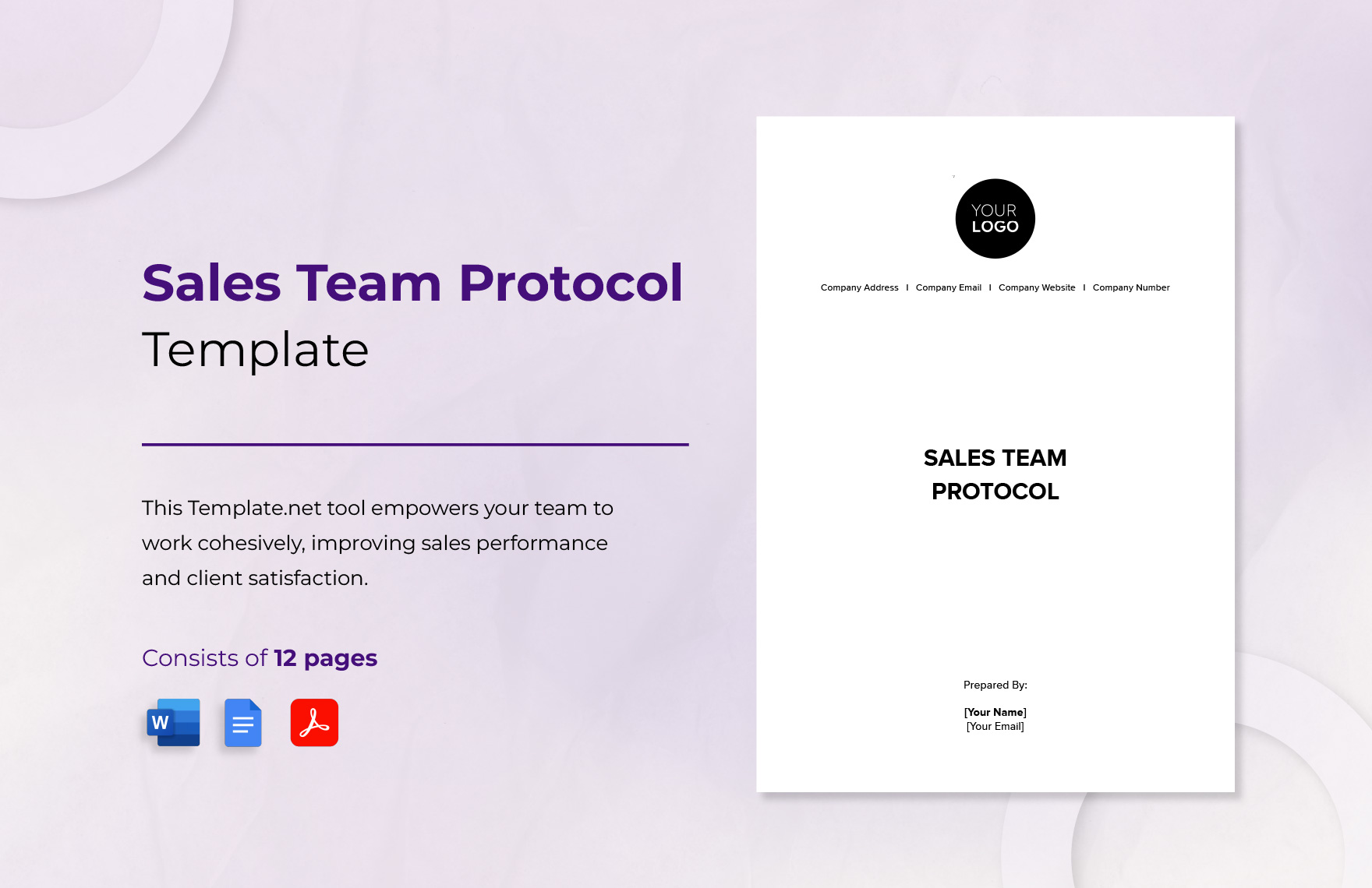 Sales Team Protocol Template