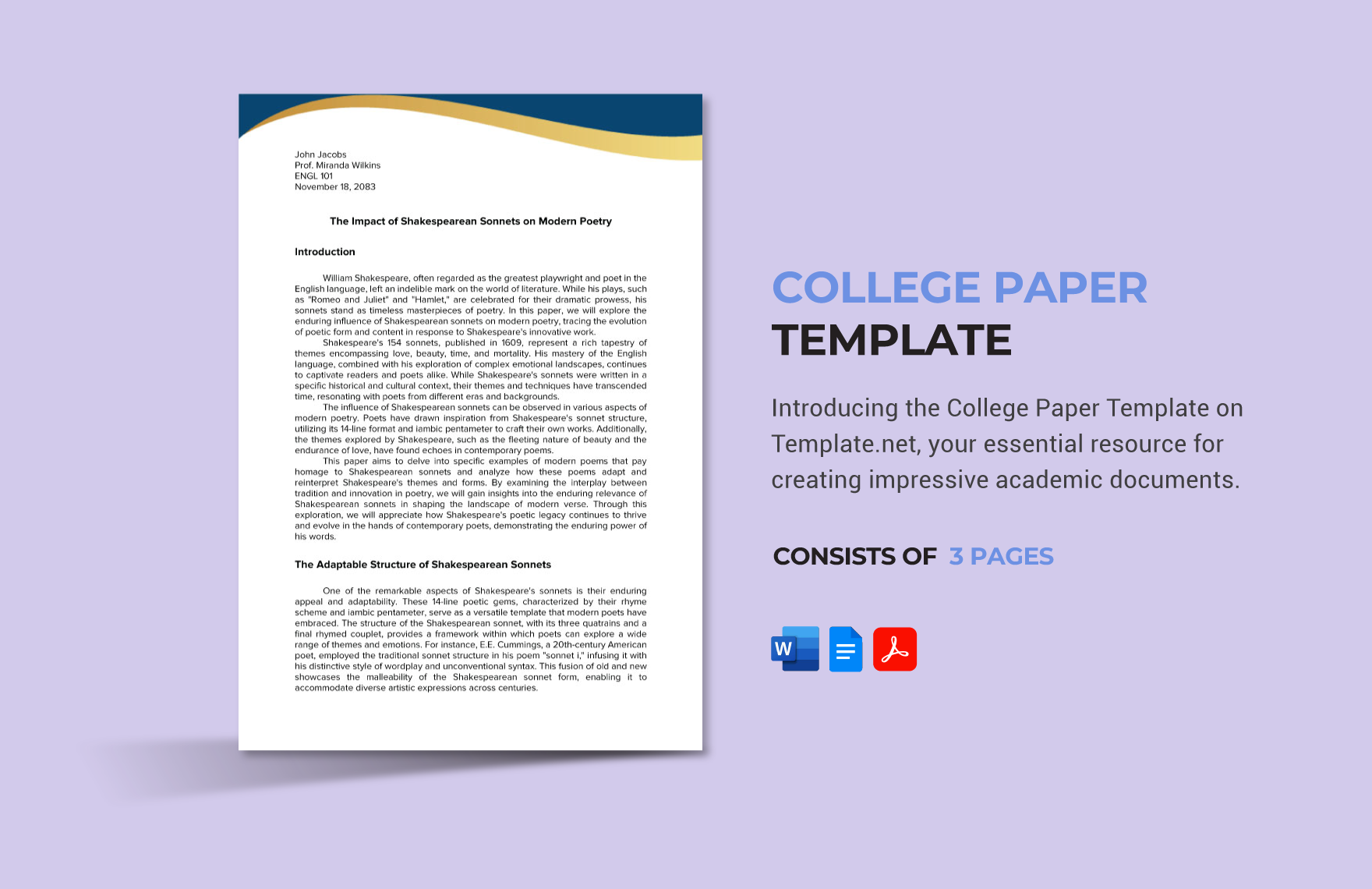 College Paper Template